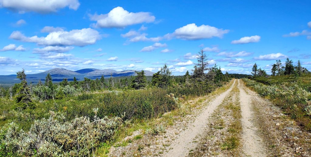 Metsätie Arctic by Cycle -reitillä ja maisemaa kohti Pallastuntureita